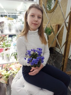Фиалка Honey Blue Ice мини